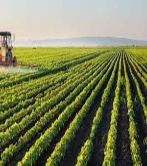 Agro Consultancy Services