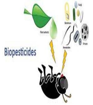 Biopesticides