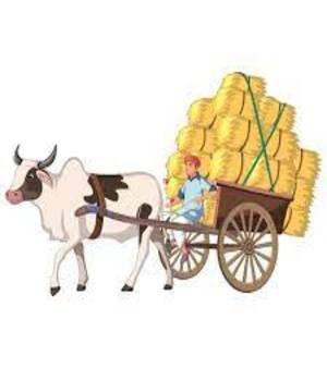 Bullock Cart