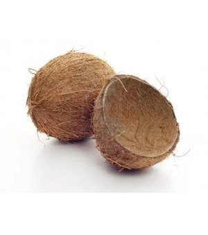 Coconut Shells