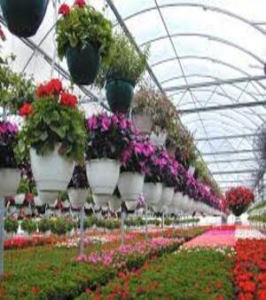 Floriculture Services