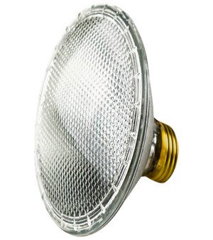 Halogen Lamp