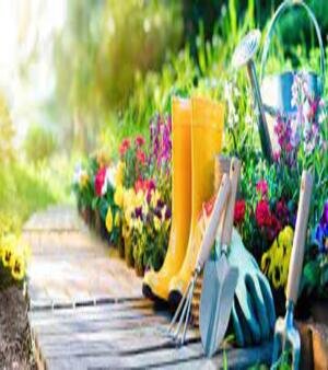 Horticultural Services