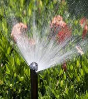 Irrigation System