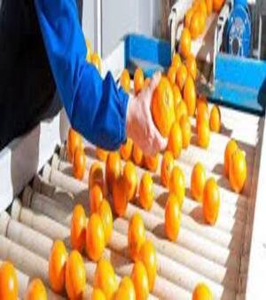 Post Harvest Management