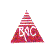 Badruddin Alibhai Contractor LLp