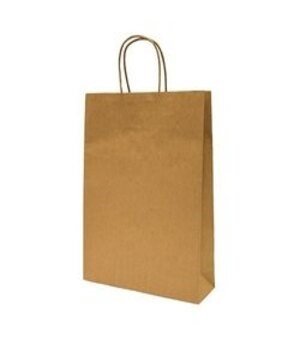 Plain Paper Carry Bag