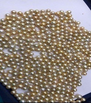South Sea Pearl