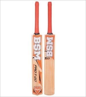 Cricket Bat