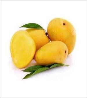 Fresh Mango, Glutinous: Non Glutinous, Color: Yellow