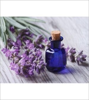 Lavender Oil