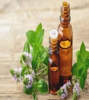 TERPENELESS MINT OIL