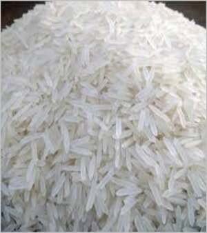 Basmati Rice