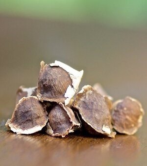 Black Moringa Oleifera Seeds