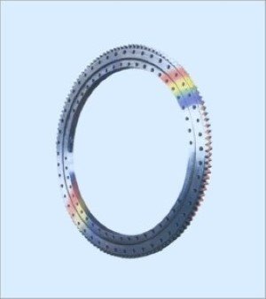 Slewing Ring Bearing; Usage: Industrial; Condition: New