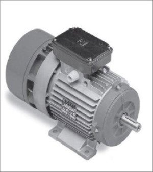 Electric Brake Motor, Brand: Maxx Engineers, Phase: 3 Phase