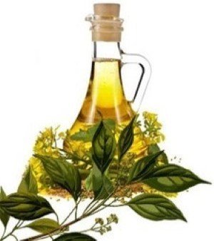 Camphor Oil