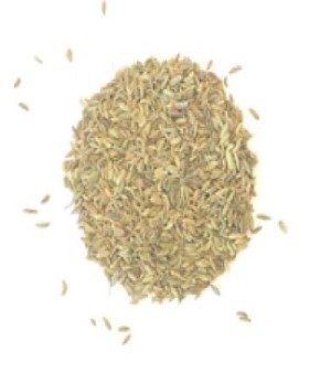 Organic Fennel Seed