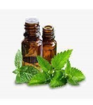 Organic Spearmint Oil