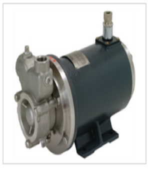 Sealless Pump