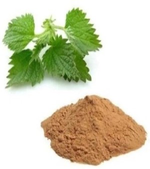 Nettle Extract