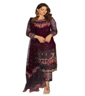 Ladies Salwar Suits