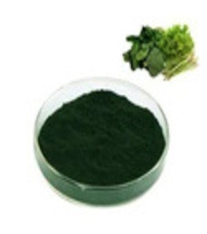 Spinach (Chlorophyll) Natural Colours
