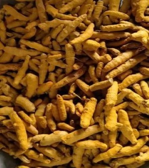 Turmeric Powder