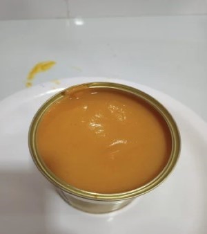 Canned Alphonso Mango Pulp