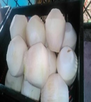 Trimmed Tender Coconut