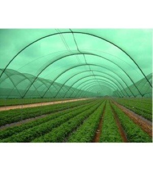 PVC Nursery Shade Net