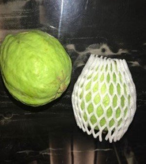Foam Net