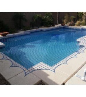 Swimming Pool Net