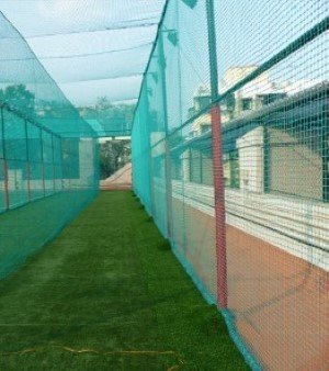 Cricket Net