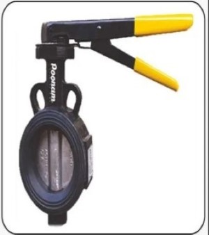 Ci Butterfly Valves