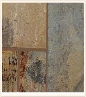 Natural Fossil Sandstone