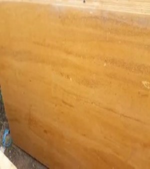 Gold Polished Limestone