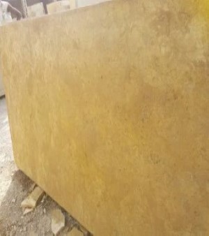 Flowery Gold Limestone Polished