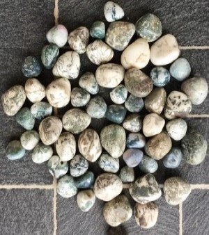 Tree Agate Semi Precious Pebbles