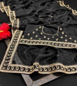 Beautiful Soft Organza Silk Saree