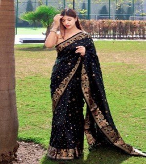 Banarasi Silk Jacquard Saree
