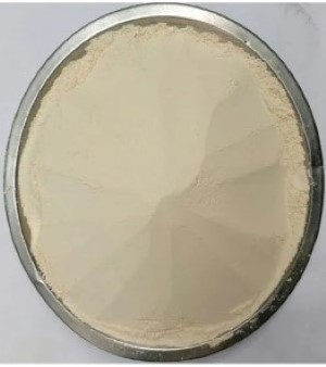 Defatted Soya Flour (Untoasted)