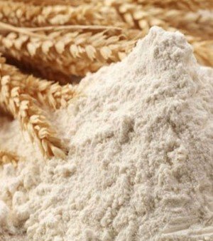 Organic Wheat Flour