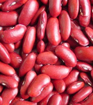 Organic Red Rajma