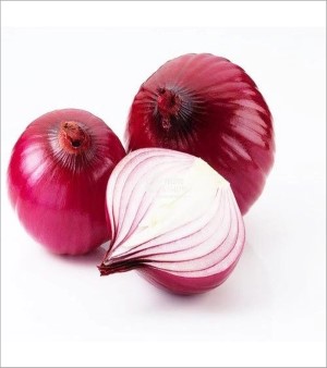 Onion