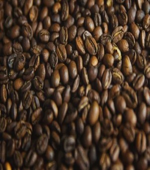 Robusta Roasted Coffee Beans