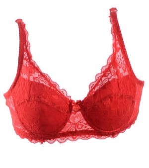Ladies Red Designer Bra