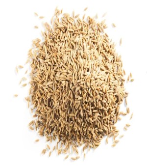 White Cumin Seed
