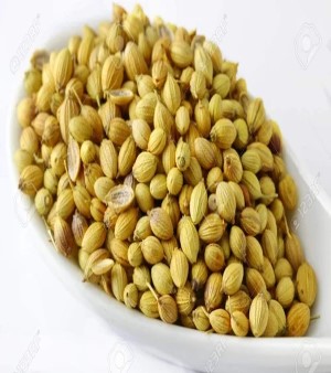 Yellow Coriander Seed