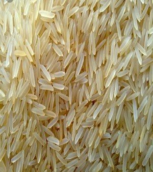Golden Rice